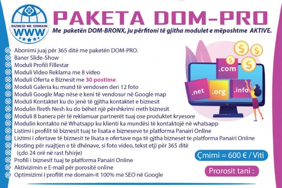  Dixhitalizimi i biznesit me SEO në Google nepermjet platformes Panairi Online me Paketen PROMO , Marketingun Strategjik Online , Marketingu në Epokën Dixhitale , marketingu dixhital ne shqiperi , digital marketing definition